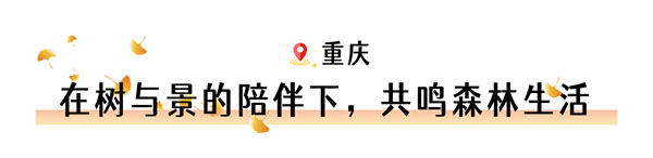 1665454759461773.jpg 5组22(1).jpg