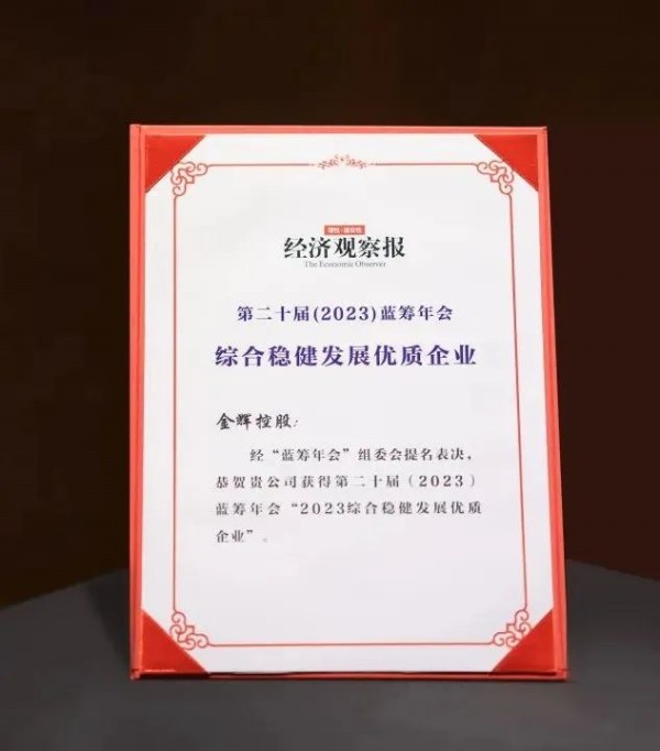 1687316041305348.jpg mk体育控股荣获蓝筹年会稳健发展大奖